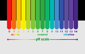 Production and Classification of Edible Gelatin 1
